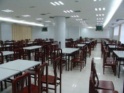 餐饮服务 味蕾与体验的艺术