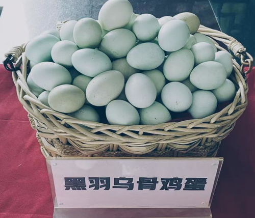 寿县三款产品荣膺淮南市特色伴手礼 尽显楚风汉韵与地道风味